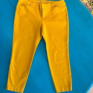 Chino ankle pants old navy size 14 regular.